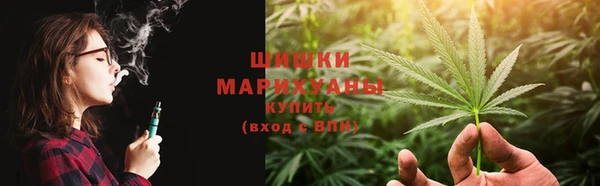 PSILOCYBIN Осташков