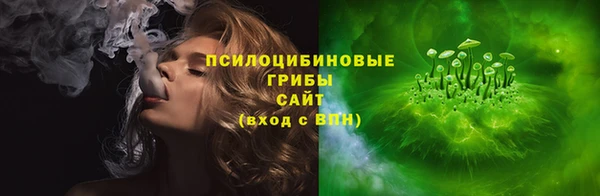 мдпв Губаха