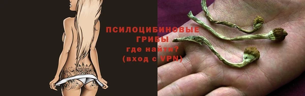 PSILOCYBIN Осташков