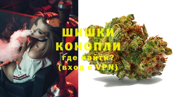 прущие грибы Остров