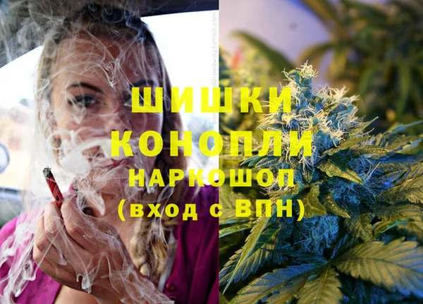 PSILOCYBIN Осташков