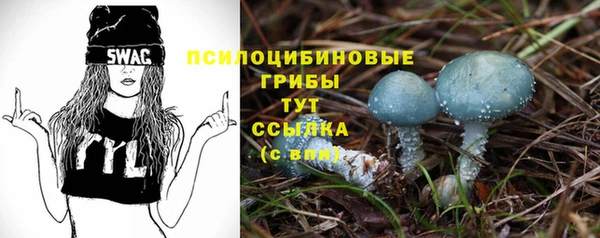 меф Осинники