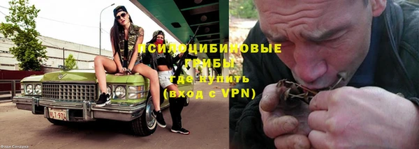 прущие грибы Остров